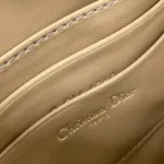 Dior Saddle Rodeo Pouch - 图片 5