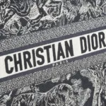 Medium Dior Book Tote - 图片 2