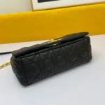 Large Caro Handbag - 图片 5